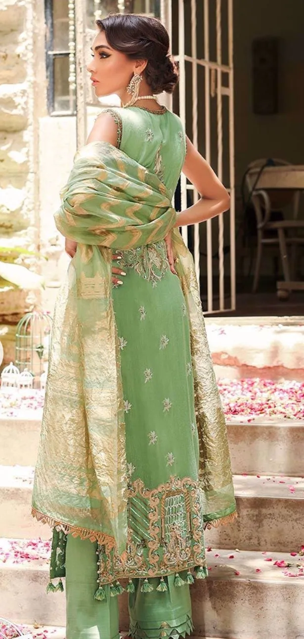 Classy Pakistani party wear dress with price # P2639